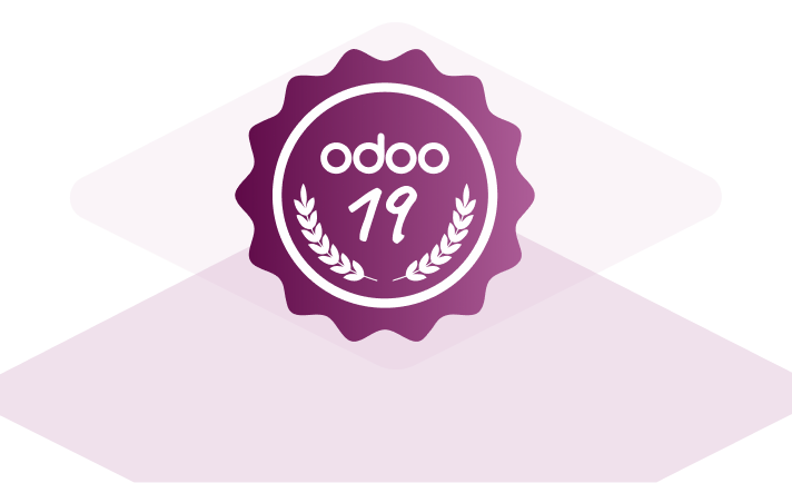 Team Certified in Odoo v19